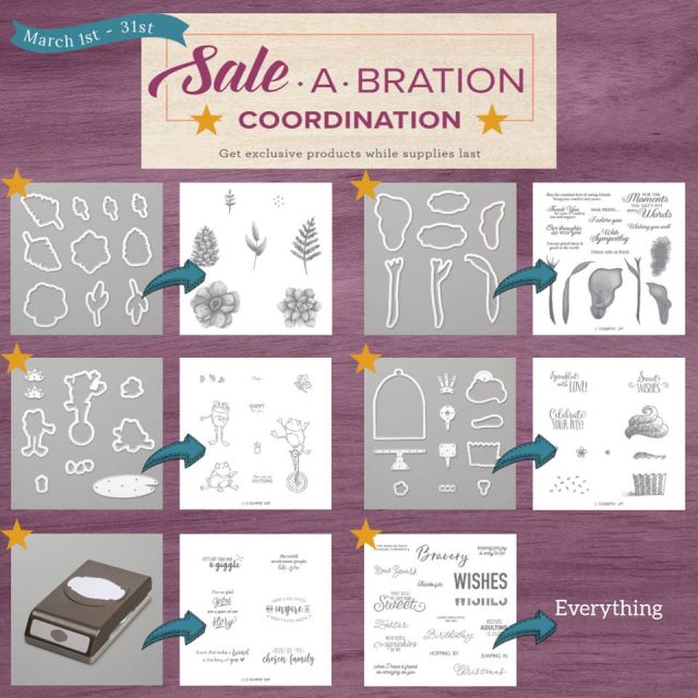 Sale-A-Bration Coordination Products