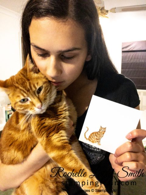 Toulouse, Stampin' Blends cat, Colouring in