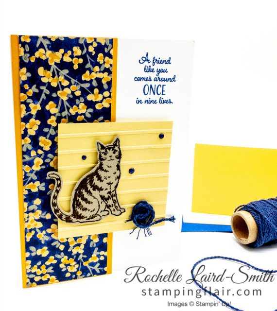 Step-it-Up Sunday, Nine Lives, Cat handmade card, Casual crafter, Cat card with punch, Garden Impressions