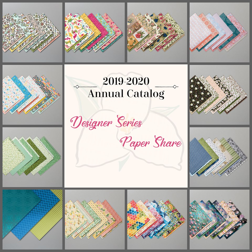 2019-2020 Paper Share Image