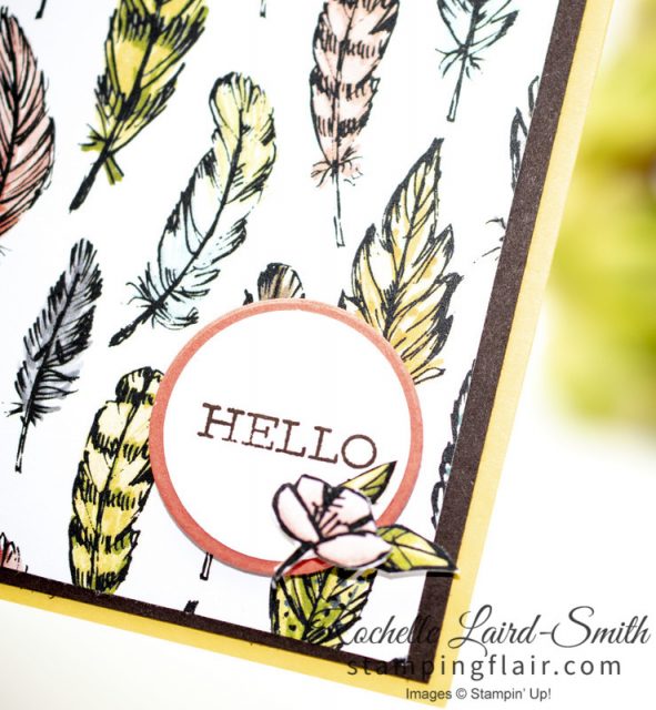 Bird Ballad card with feathers and Hello greeting