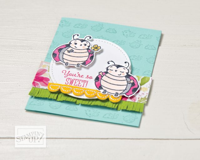 Ladybug Card