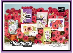 Mini Catalogue Cover